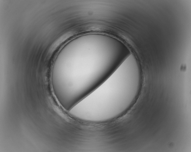 X0000113621026200909181111