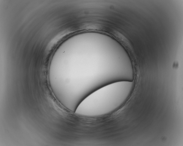 X0000113621027200909181111