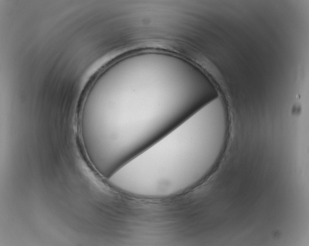 X0000113621028200909181111