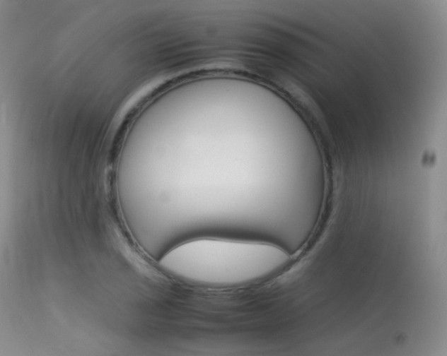 X0000113621029200909181111