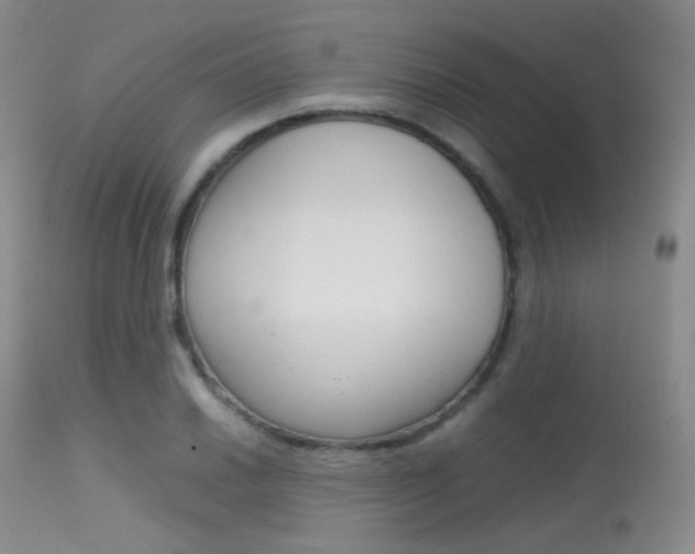 X0000113621030200909181111