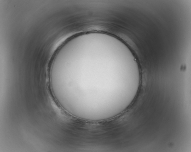 X0000113621031200909181111