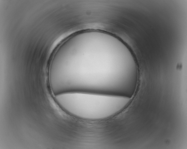 X0000113621032200909181111