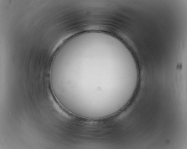 X0000113621033200909181111