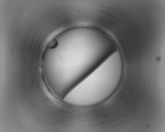 X0000113621034200909181111