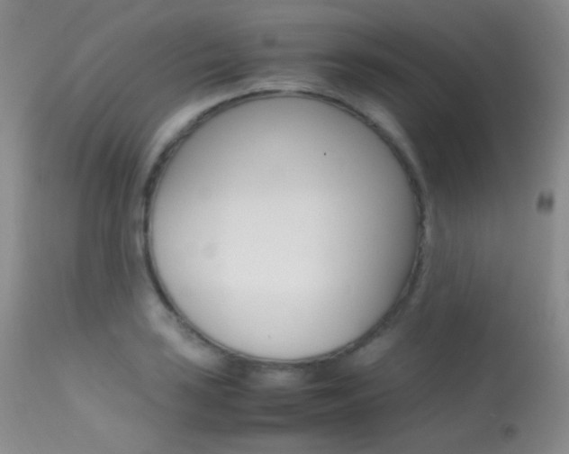 X0000113621035200909181111