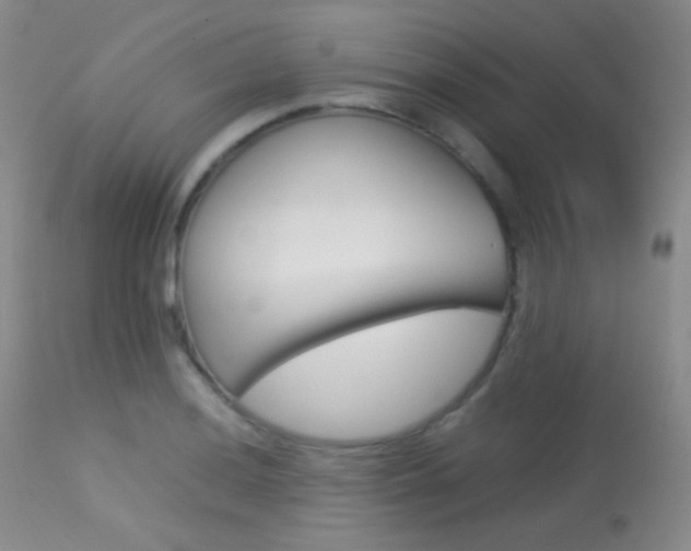 X0000113621036200909181111