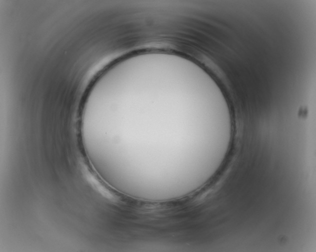 X0000113621037200909181111