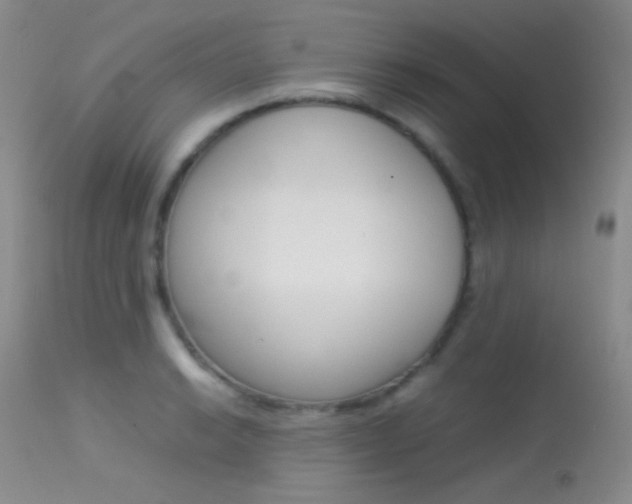 X0000113621038200909181111