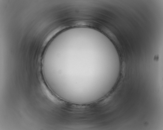 X0000113621039200909181111