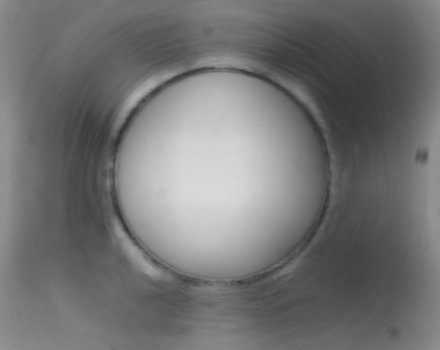 X0000113621040200909181111