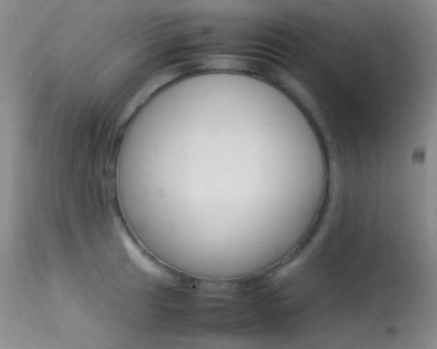 X0000113621041200909181111