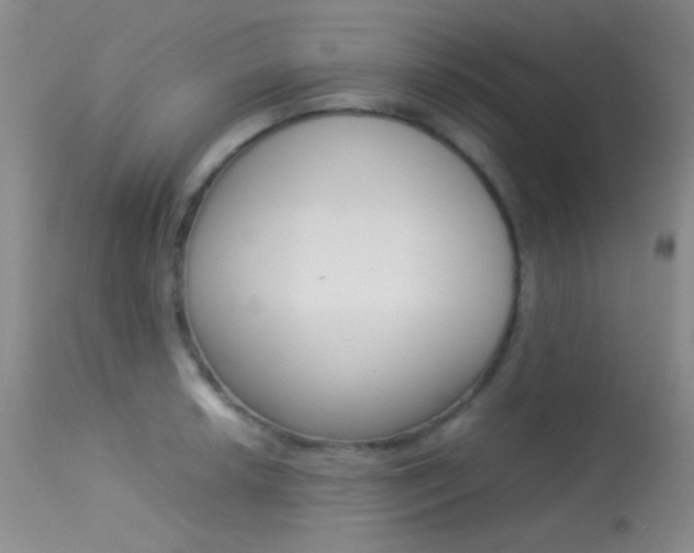 X0000113621042200909181111