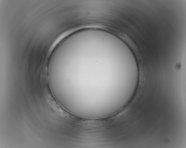 X0000113621044200909181111