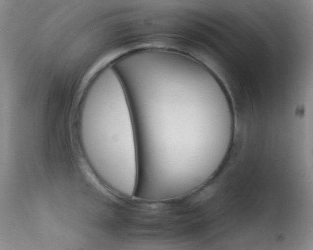 X0000113621045200909181111