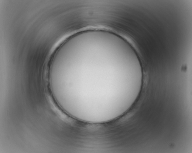 X0000113621046200909181111