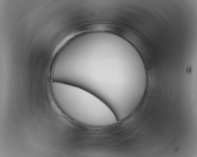 X0000113621047200909181111