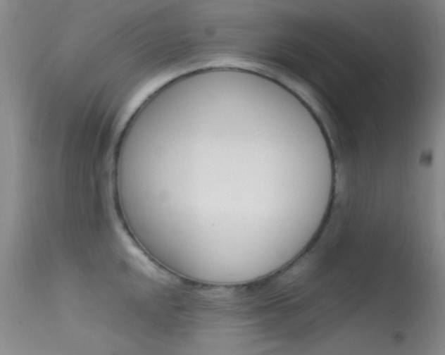 X0000113621048200909181111