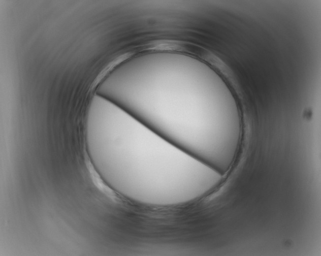 X0000113621049200909181111