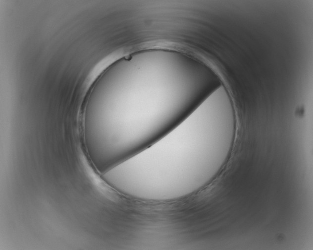 X0000113621050200909181111