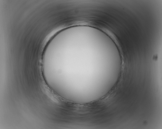 X0000113621051200909181111