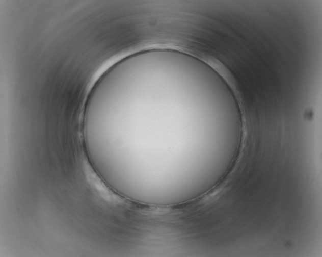 X0000113621052200909181111