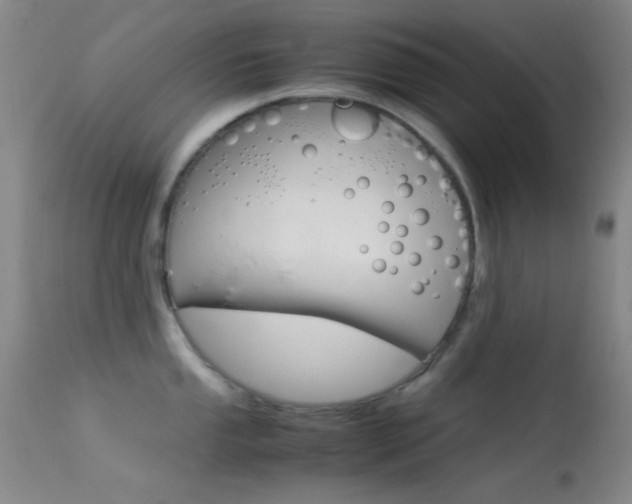 X0000113621053200909181111