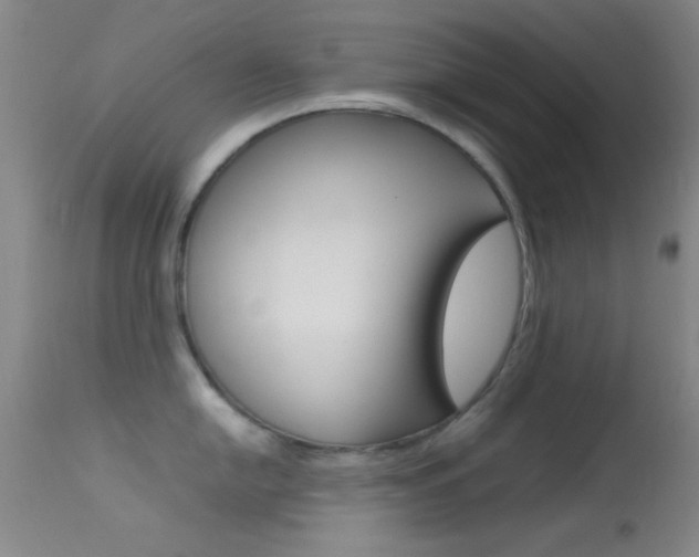 X0000113621054200909181111