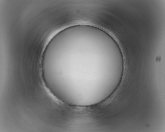 X0000113621056200909181111