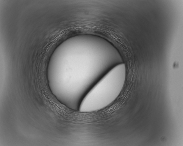X0000113621057200909181110