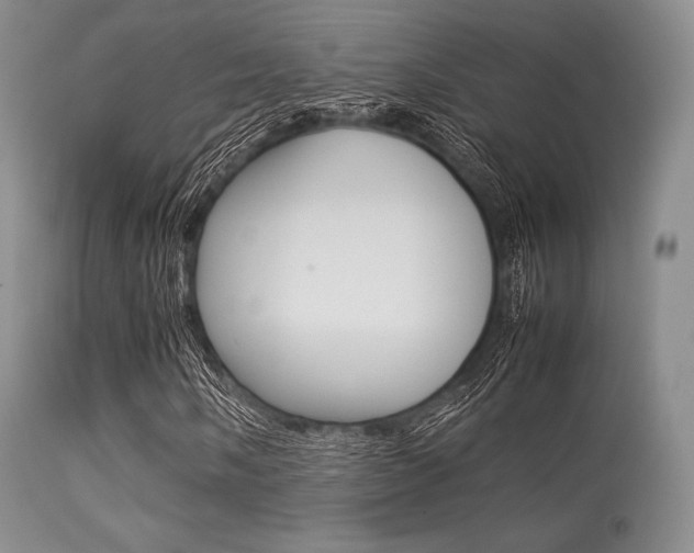 X0000113621058200909181110
