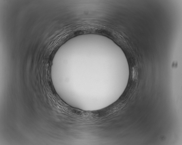 X0000113621059200909181110