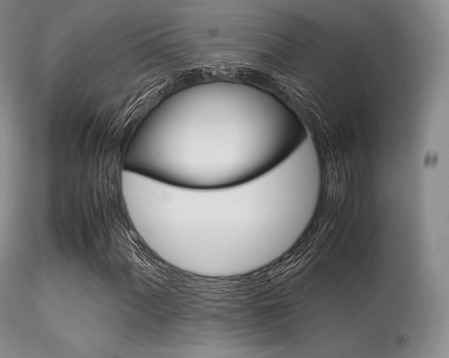 X0000113621060200909181110