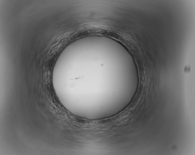 X0000113621061200909181110