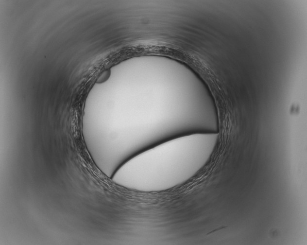 X0000113621062200909181110