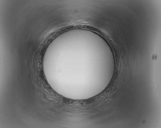X0000113621063200909181110