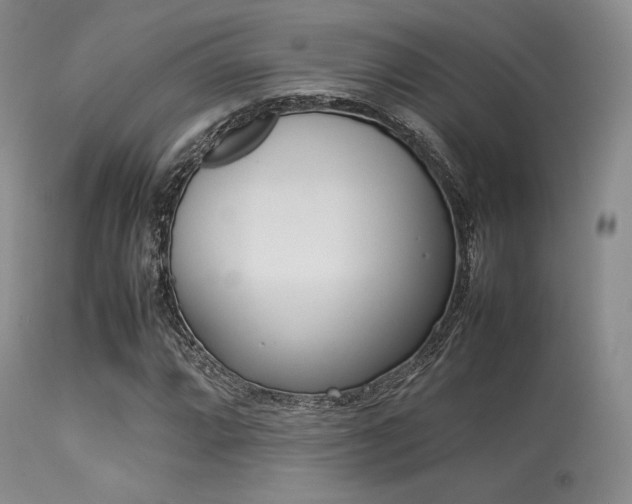 X0000113621064200909181110