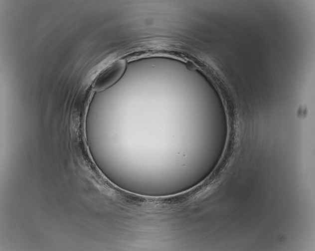 X0000113621065200909181110
