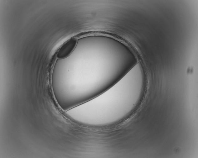 X0000113621069200909181110