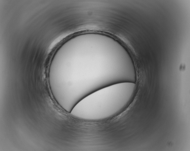 X0000113621070200909181110