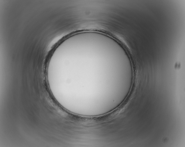 X0000113621071200909181110
