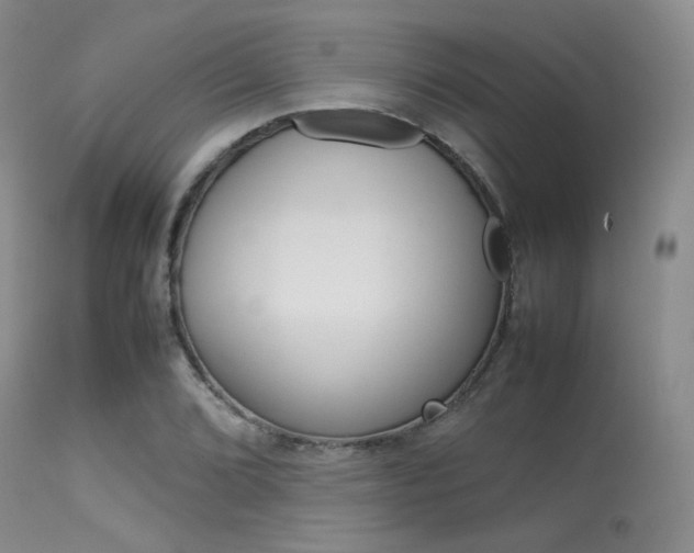 X0000113621072200909181110