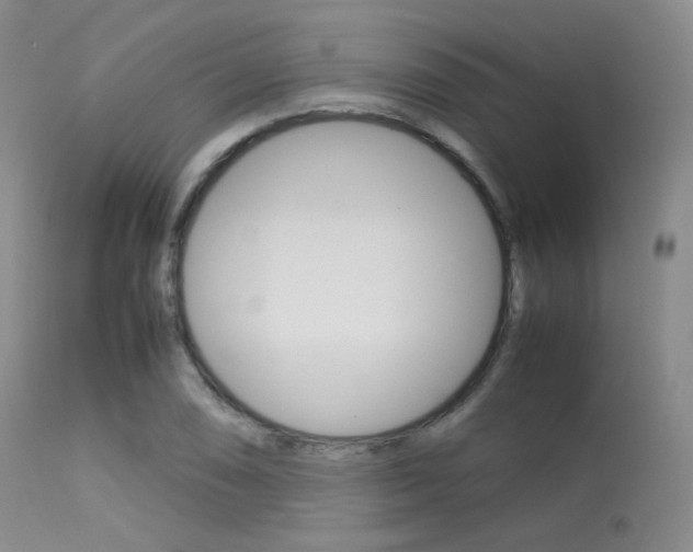 X0000113621074200909181110