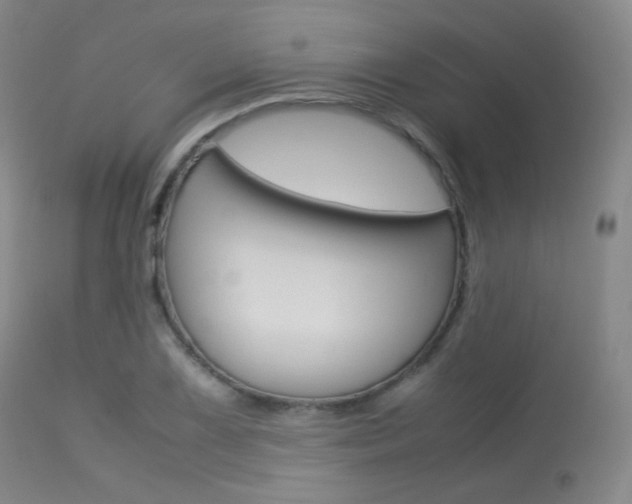 X0000113621075200909181110