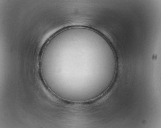 X0000113621077200909181110
