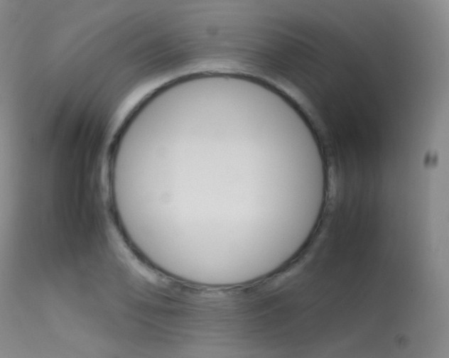 X0000113621078200909181110