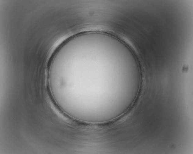 X0000113621079200909181110