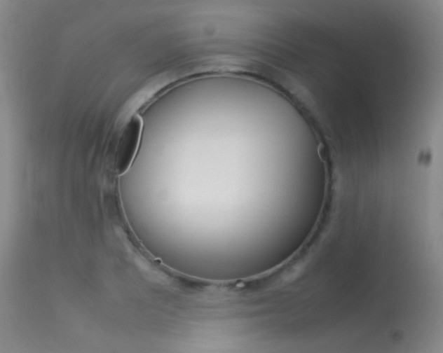X0000113621081200909181110