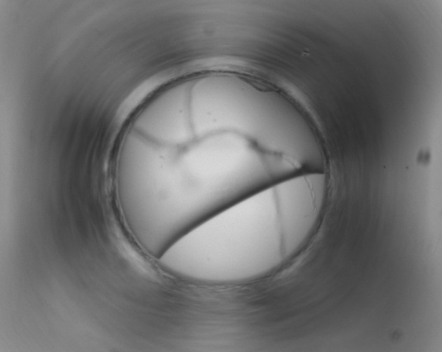 X0000113621082200909181110