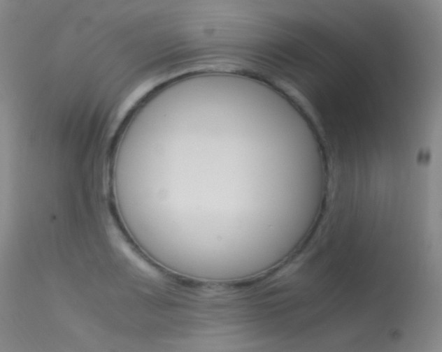 X0000113621083200909181110
